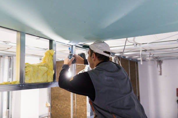 Best Insulation Contractor Near Me  in Ahoskie, NC