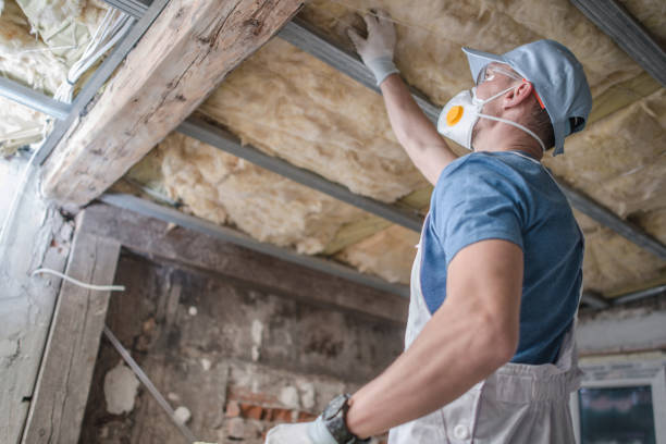 Best Energy-efficient Insulation  in Ahoskie, NC