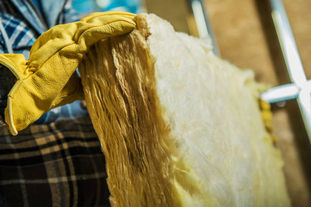 Best Best Insulation Companies  in Ahoskie, NC
