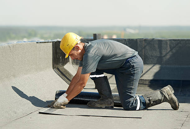 Best Spray Foam Insulation  in Ahoskie, NC