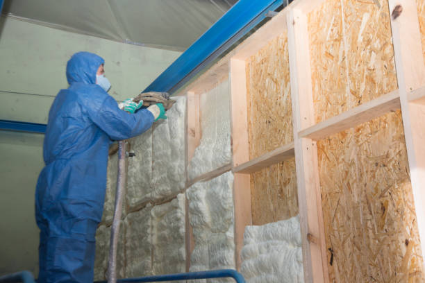 Best Affordable Insulation Services  in Ahoskie, NC