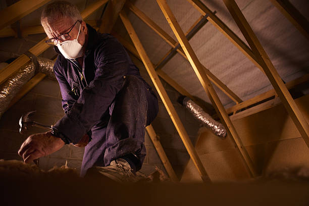 Best Fiberglass Insulation  in Ahoskie, NC