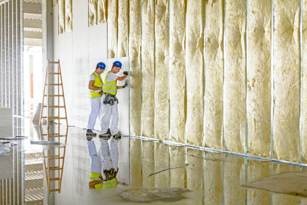 Best Residential Insulation Services  in Ahoskie, NC